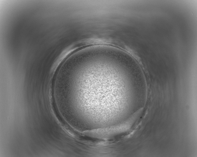 X0000054460103200508052001