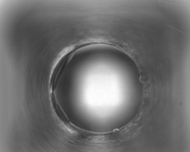 X0000054460104200508052001