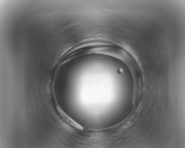 X0000054460105200508052001