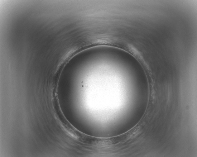 X0000054460106200508052001