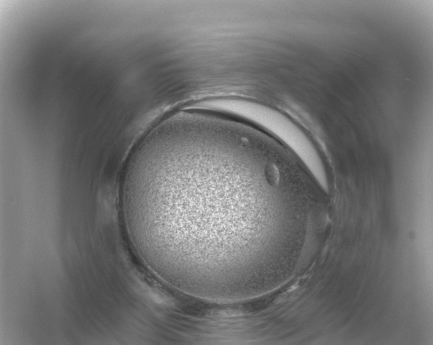 X0000054460107200508052001