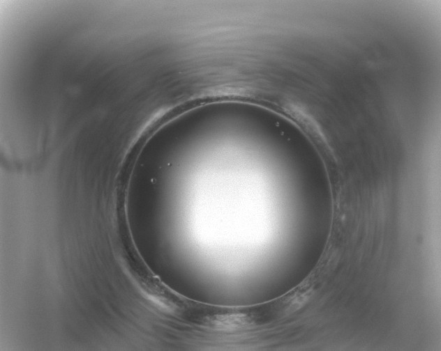 X0000054460108200508052001