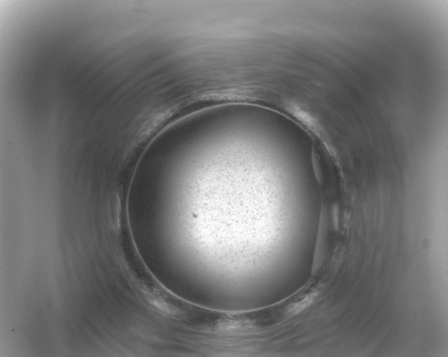 X0000054460109200508052001