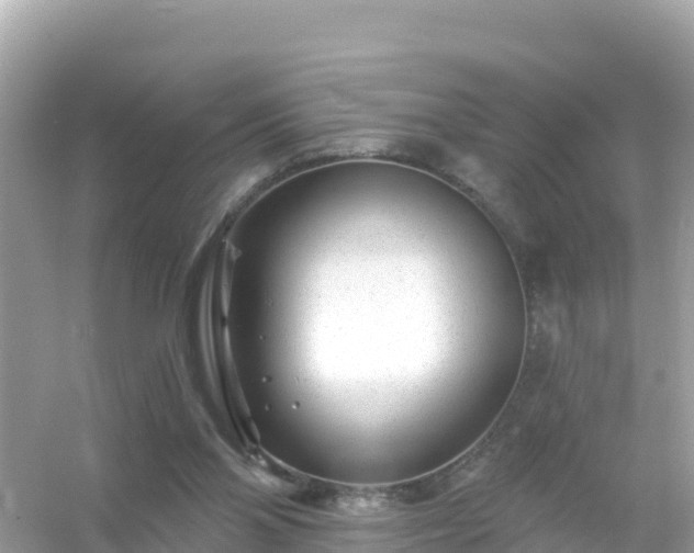 X0000054460110200508052001