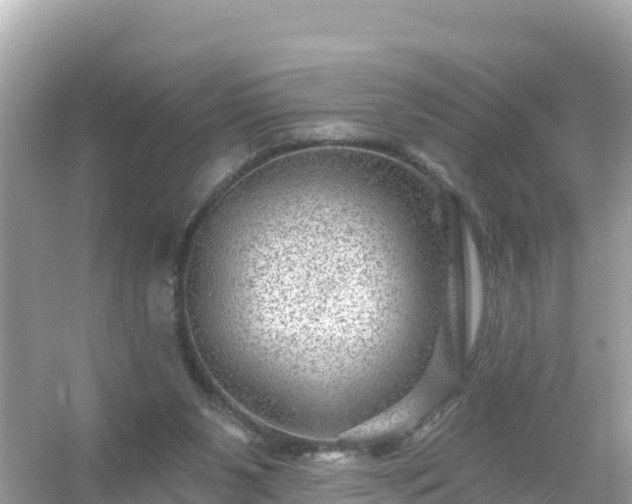 X0000054460111200508052001