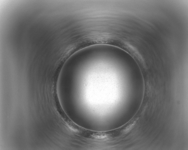 X0000054460113200508052001