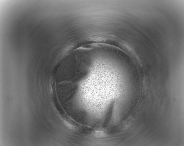 X0000054460114200508052001