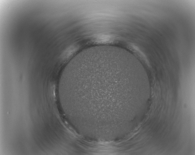 X0000054460115200508052001