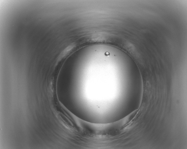 X0000054460116200508052001