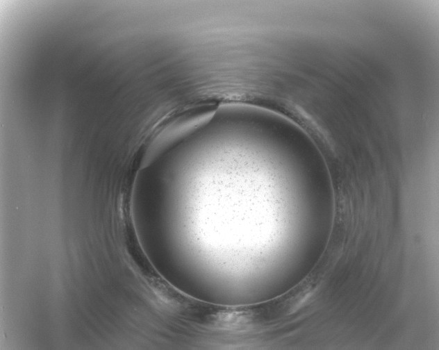 X0000054460117200508052001