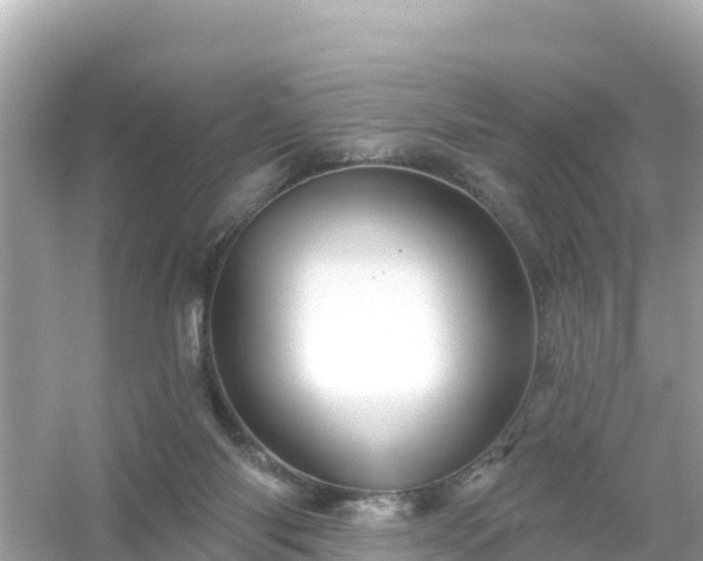 X0000054460118200508052001