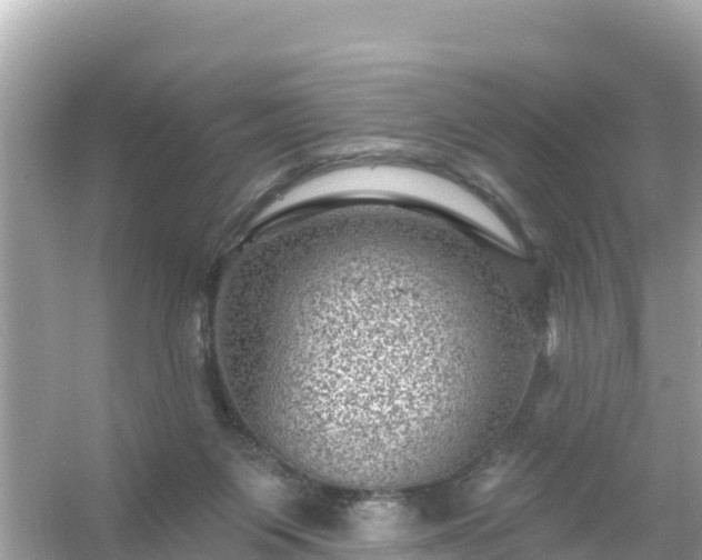 X0000054460119200508052001