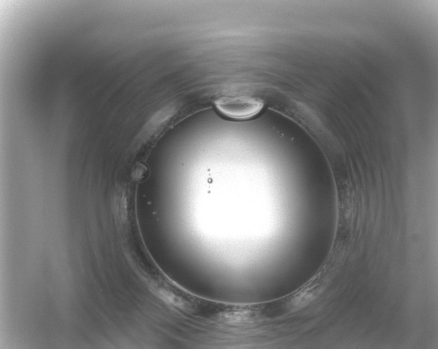 X0000054460120200508052001