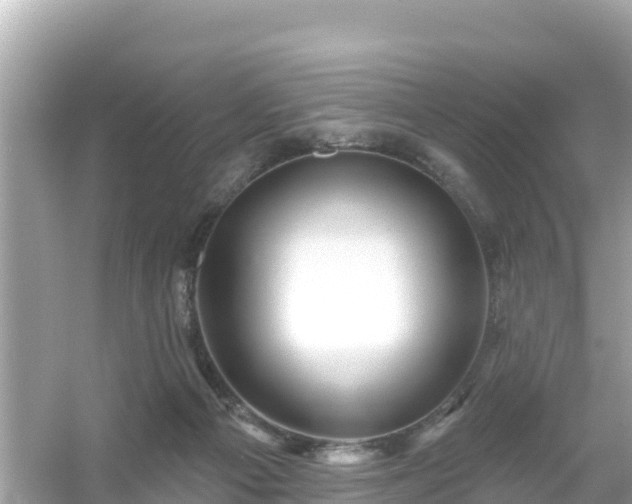 X0000054460121200508052001