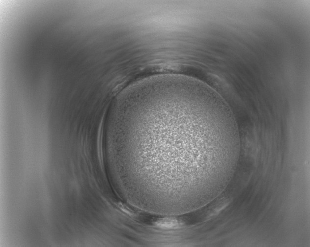 X0000054460123200508052001