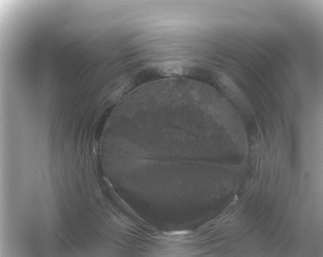 X0000054460125200508052001