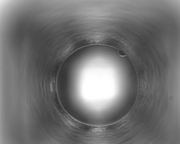 X0000054460126200508052001