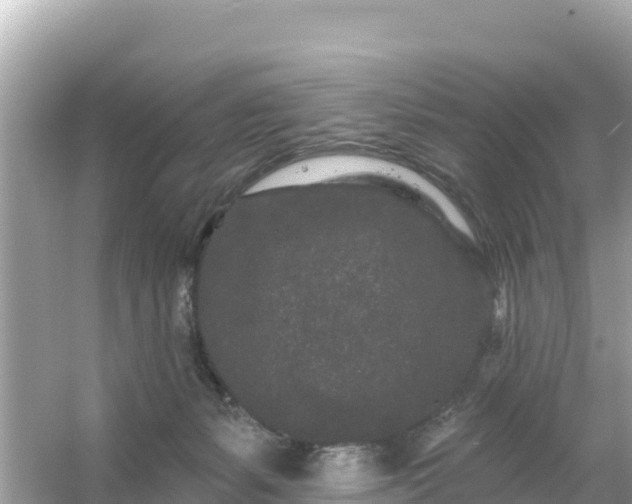 X0000054460127200508052001