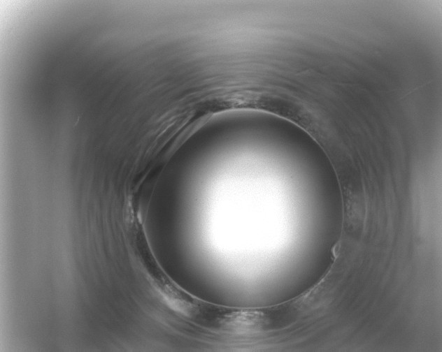 X0000054460128200508052001