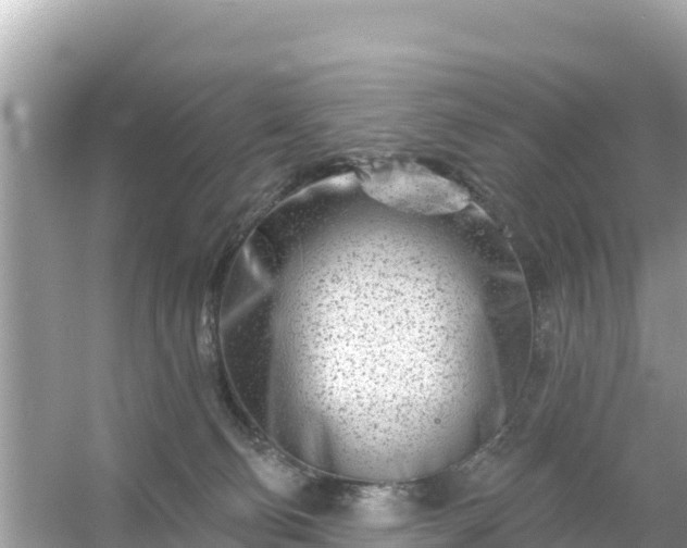 X0000054460130200508052001