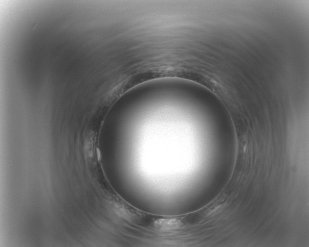 X0000054460133200508052001