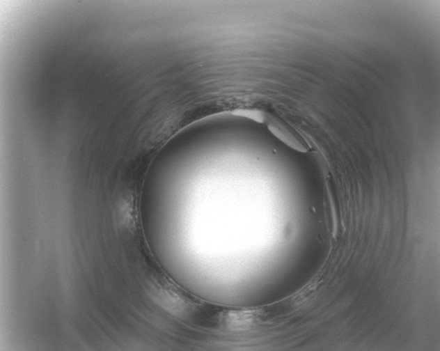 X0000054460134200508052001