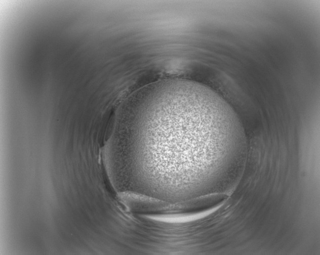 X0000054460135200508052000