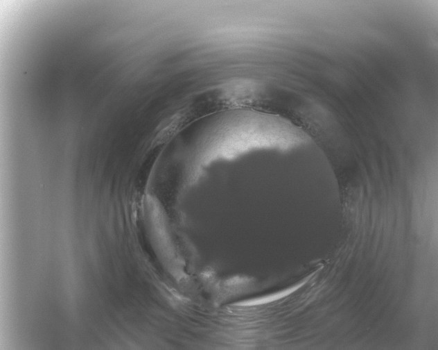 X0000054460139200508052000