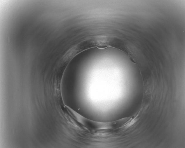 X0000054460140200508052000