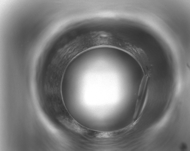 X0000054460142200508052000