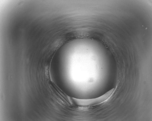 X0000054460144200508052000