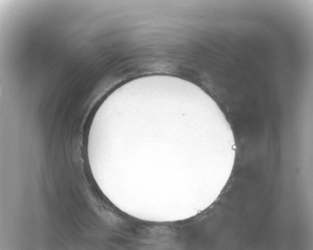 X0000054460146200508052000