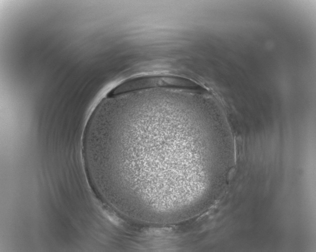 X0000054460147200508052000