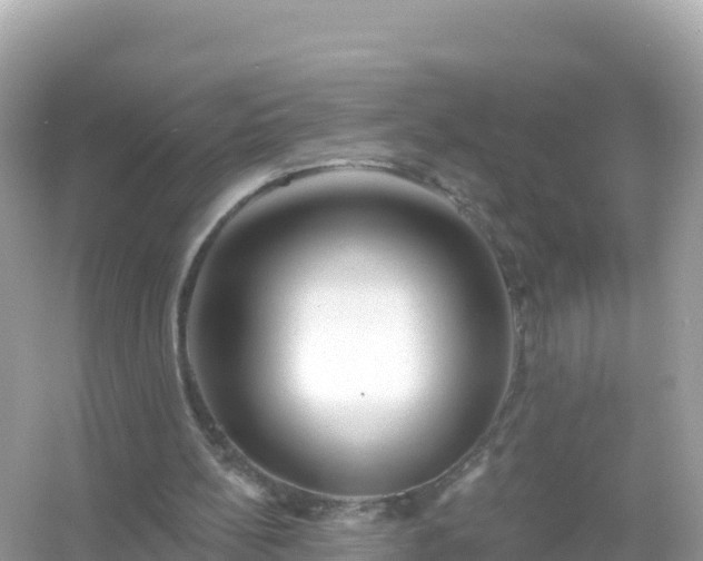 X0000054460148200508052000