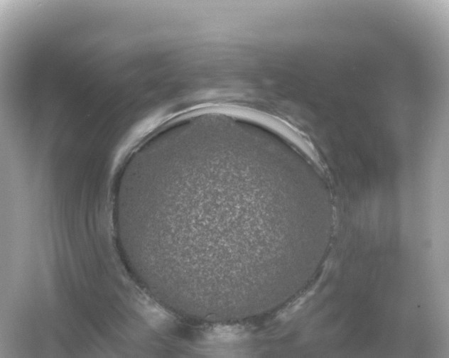 X0000054460149200508052000