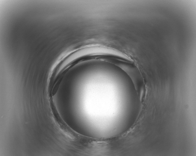 X0000054460150200508052000