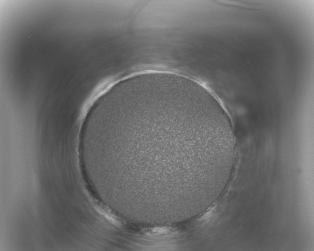 X0000054460151200508052000