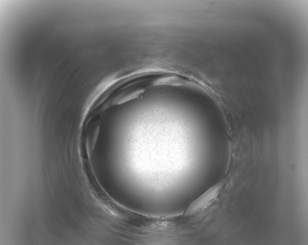 X0000054460152200508052000