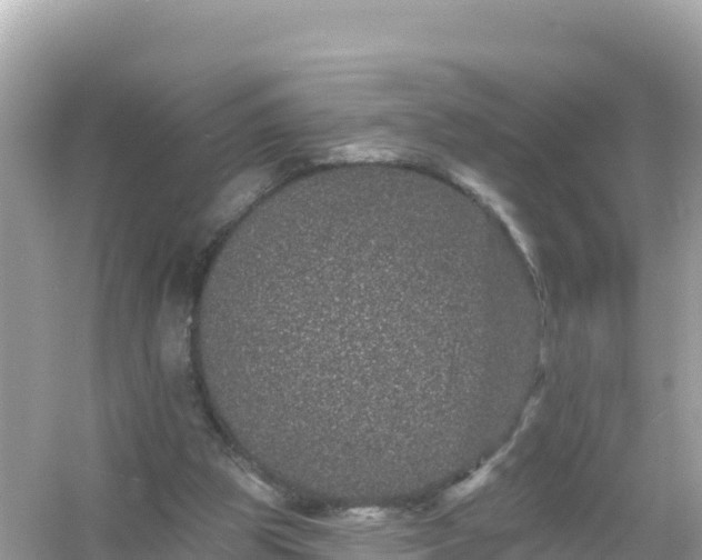 X0000054460153200508052000