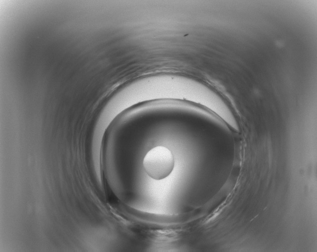 X0000054460154200508052000