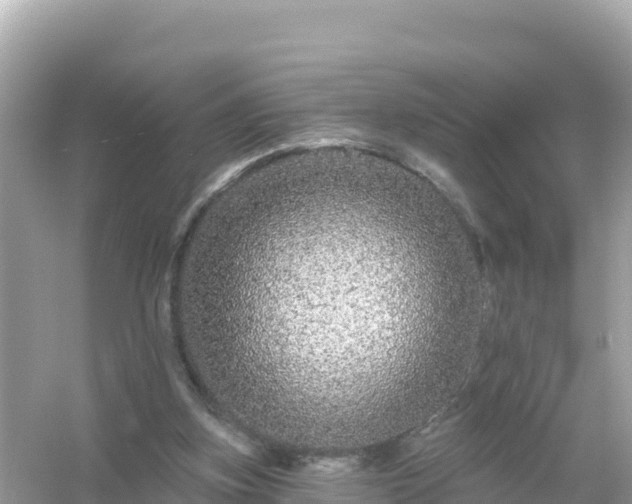 X0000054460155200508052000