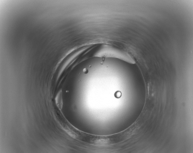 X0000054460156200508052000