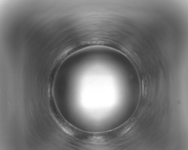 X0000054460157200508052000