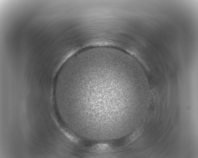 X0000054460159200508052000