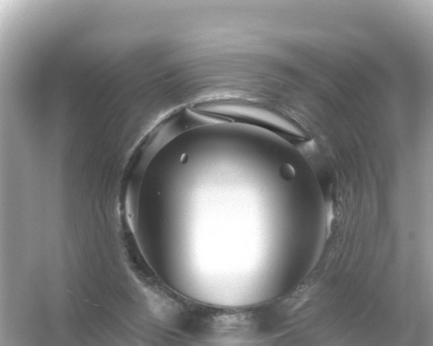 X0000054460160200508052000