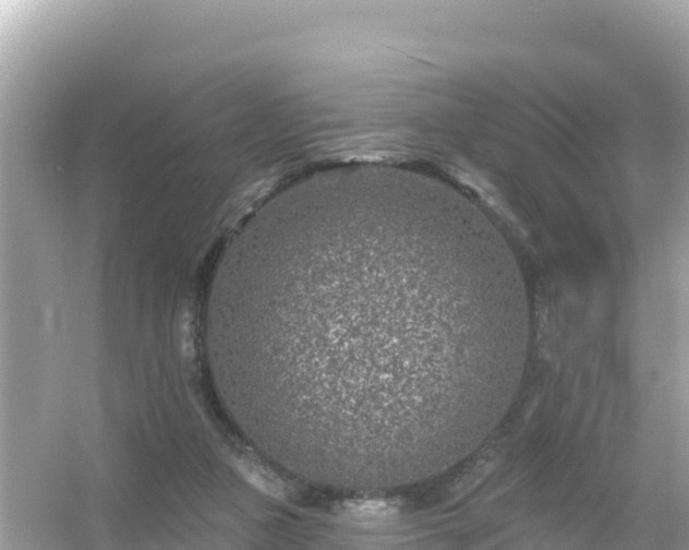 X0000054460161200508052000