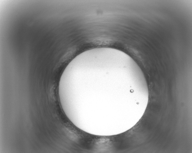 X0000054460162200508052000