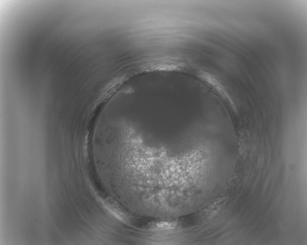 X0000054460163200508052000