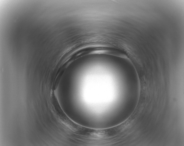 X0000054460164200508052000