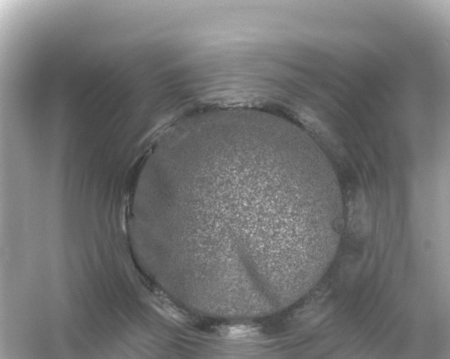 X0000054460165200508052000